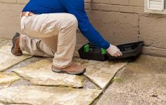 Our company is one of the best pest control companies Tampa FL, can help you get some peace of mind. We have the experience and expertise necessary to get rid of these tiny irritants fast, offering quick pest control services Tampa FL so you can return to a safe, pest-free environment as fast as possible. We use cutting-edge technology that keeps your home’s tormentors at bay not just for the moment, but for the foreseeable future. For more information visit our website today. 