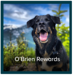 You reward your pet, so now it’s time to reward yourself. Sign up for the O’Brien Pets Loyalty program!
