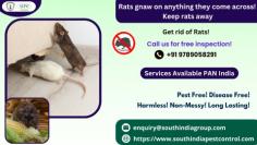 SIPC is the best service provider of Rodent control service in Chennai. We have certified rodent control technicians with experience in handling rodent problems. We use good chemicals to reduce the rodents in your surroundings. Get us for your rodent issues! Call SIPC now.
Call: 8089000023
Visit: https://southindiapestcontrol.com/rodent-control-chennai/