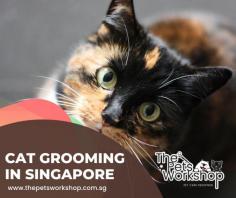 Professional Cat Grooming Singapore are those who offer grooming services for cats. They typically provide a range of services, such as bathing, trimming, brushing, nail clipping, and ear cleaning. Some may also offer specialized services, such as lion cuts or breed-specific grooming.

When choosing a professional cat grooming Singapore service, consider the following:

Reputation: Look for a groomer with a good reputation and ask for references or check online reviews.

Qualifications: Make sure the groomer is trained and experienced in working with cats.

Cleanliness: Ensure the Cat Grooming Singapore facility is clean and hygienic.

Comfort: Observe how the groomer interacts with cats and make sure your cat is comfortable with them.

Availability: Choose a groomer with a flexible schedule that works for you and your cat’s needs.

It is important to choose a professional cat groomer who will provide a safe and positive grooming experience for your cat.

Some of the tips and tricks you might need to consider for Cat Grooming Singapore are

1. Brush regularly to remove loose fur and prevent matting.

2. Trim claws with a proper claw clipper.

3. Clean ears using a cotton ball and a gentle cleaner.

4. Bathe only when necessary, using a cat-specific shampoo.

5. Brush teeth regularly to maintain oral hygiene.

6. Keep the litter box clean and accessible.

7. Gradually acclimate to grooming to reduce stress.

8. Reward with treats and positive reinforcement.

9. Consult a vet if any signs of skin irritation occur.

10. Keep tools and products out of reach of your cat.

Have a peek here : https://www.thepetsworkshop.com.sg/