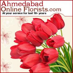 Want to make gift dispatches a clutter-free affair for b-day, anniversary, Valentine’s Day! Yes, it is possible with our incredible selection of aromatic florals and bouquets, at Ahmedabad-online-florists portal. We value the sentimental quotient more than anything, so pick and deliver from our Best Florist Ahmedabad Online with free shipping and faster than ever dispatches. Our prices won’t pinch you hard, either! So, fall for our birthday flower arrangements with accessories, serenade gifting of hefty roses bouquets, anniversary flowers of gerberas and roses or any flower basket for Christmas, yes, there are never-ending alternatives of flower bundles, from our online Flower Shop Ahmedabad. With better delivery logistics and customer support outreaches go on enthralling hearts, even you are miles and moments apart from them. Have the gorgeous flower bunches paired with chocolates, fruits and cakes, from any part of the globe, and get ready to earn smiles from your dear ones.
Source : www.ahmedabadonlineflorists.com/flowers-online.asp  