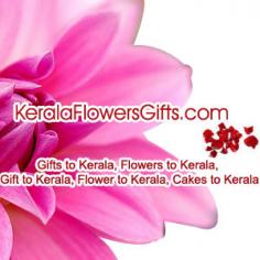 Send a bouquet of flowers online from our KeralaFlowersGifts portal for every occasion, big or small, magnificent or minor. Explore a diverse range of enticing flowers, each of which expresses your deepest feelings and conveys your affection for friends and family alike. We present you the most seductive and gorgeous bouquet of flowers based on our years of experience in the gifting industry. Find exotic and local blooms to spice up your and your loved ones' special day. So are you ready to make this upcoming moment extra special for you and your loved ones? Place your order online now and get Same Day Delivery Flowers Kerala at a very cheap price.
Source : www.keralaflowersgifts.com
