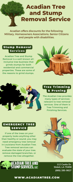 Mandeville Tree Removal | Acadian Tree and Stump Removal Service 

In times of emergency, Mandeville Tree Removal agencies are called in, especially if a massive storm poses a tree threat and could damage your home. We provide the same service as planned in this situation as well. For more information, contact us at (985) 285-9827 or email us at acadiantree@yahoo.com. 

Visit Website - https://acadiantree.com/tree-removal-mandeville/