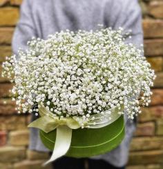 Order wholesale Baby's Breath from FiftyFlowers. A wide selection of quality and fresh bulk Baby's Breath straight from the farm at low prices. Save huge money on wedding, anniversary, bday parties. 
To learn more you can check this net page: https://fiftyflowers.com/collections/babys-breath-flower
