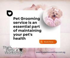 A Pet Grooming service Singapore is an essential part of maintaining your pet’s health. Regular grooming can help detect any skin, fur or teeth problems that could be missed in everyday life. A qualified groomer will brush and trim fur, cut nails, and check for any underlying health concerns that may need further attention. A Pet Grooming service Singapore goes beyond just keeping your pet looking sharp; regular grooming keeps your pet’s coat healthy and helps reduce irritation from dirt and debris buildup. In addition to the physical benefits, a professional groomer can provide essential services such as bathing, oral hygiene, flea and tick control. All these factors contribute to the overall wellbeing of your beloved pup or kitty companion.

have a peek here : https://www.thepetsworkshop.com.sg/