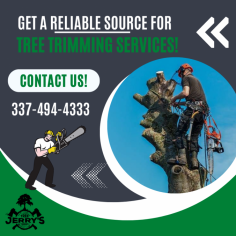 Get a Highly Trained Tree Trimming Service Today!

At Jerry’s Tree Service, we pride ourselves on providing professional, efficient, timely, and thorough tree trimming service at all times. We will trim your trees to keep them healthy, maintain existing trees, and if need be, help you remove trees. Our experts work hard to provide the best possible service at an affordable rate. Get in touch with us!
