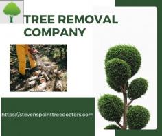 If your tree is outgrowing its environment and overtaking your yard while encroaching on your home or office, you need to talk to a tree removal company in Stevens Point. Stevens Point Tree Doctors trained tree-cutting specialists determine whether your tree is a liability or an asset and walk you through the best tree care service options for your situation.     https://stevenspointtreedoctors.com/tree-removal/