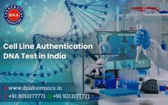 Cell line authentication DNA Test in India is in high demand. It is the process of verifying the cells' identities used in your experiments. Testing often includes confirming the cell lines are derived from the correct species & donor and are free from contaminations. At DNA Forensics Laboratory Pvt. Ltd., we are one of the leading DNA testing companies in India, providing reliable, affordable, and fast human Cell Line Authentication services in India. We offer complete human and mouse cell line authentication services. This enhances our ability to detect misidentified, genetically drifted, and cross-contaminated cell lines. To learn more or book your Cell Line Authentication Test in India over a phone call at +91 8010177771 or WhatsApp at +91 9213177771.
