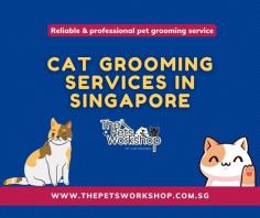 Regular cat grooming can help maintain their hygiene, reduce the risk of health problems, and keep their coat looking healthy and shiny. In Singapore, there are many professional cat grooming Singapore available that can cater to all your cat’s grooming needs. These services offer a range of treatments, including cat haircuts, baths, nail trimming, and ear cleaning. By choosing a reliable cat grooming Singapore, you can ensure that your beloved pet receives the best care possible. So if you’re looking for top-notch cat grooming Singapore, look no further than the pets workshop grooming services. Not only does cat grooming enhance your cat’s appearance and comfort, but it also helps to promote their overall well-being. Regular grooming sessions can help to detect any skin issues, fleas, or ticks, and can also help to reduce shedding. In addition, many grooming services in Singapore also offer additional services such as cat boarding or cat daycare, providing a convenient and stress-free option for cat owners who need to be away from their pets for a period of time. With so many benefits to regular cat grooming Singapore, it’s no wonder that many cat owners in Singapore make it a priority for their furry companions.

Website : https://www.thepetsworkshop.com.sg/services