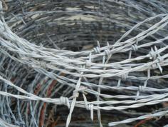 Looking to buy Razor Wire Fence in Lucknow? Buy from Adarsh Steels!

Steel fencing wire with sharp edges or spikes set at intervals along the strands is known as Barbed Wire Fence. It's utilized to make low-cost fences and to cover the tops of walls that enclose the secured property. If you're looking to buy Razor Wire Fence in Lucknow, go no further than Adarsh Steels, who offer a large assortment of steel products at reasonable pricing.