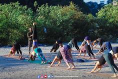 Are you planning to begin your yoga journey? ‘RishikeshVinyasaYogaSchool’ is the one-stop solution to consider. It is one of the best yoga teacher training in Rishikesh that offers a budget-friendly wellness journey in an exotic environment. It is a platform to learn new and effective yoga techniques, meet old and new friends, enjoy the atmosphere of Rishikesh. Join us today and become a part of the global Ashtanga flow yoga community that is getting bigger progressively. Contact us today: 91-6395949067. Mail us at: rishikeshvinyasayogaschool@gmail.com

https://rishikeshvinyasayogaschool.com/200-hour-ashtanga-vinyasa-yoga-teacher-training-rishikesh-india.php