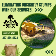 Get the Best Quality Stump Removal Service!

Jerry’s Tree Service is a family-owned business that has been performing stump removal services in Lake Charles, Louisiana. Our commitment to quality and customer satisfaction has built us a long-standing reputation for both residential and commercial properties. Our team of highly skilled employees has all been personally trained. Get in touch with us!

