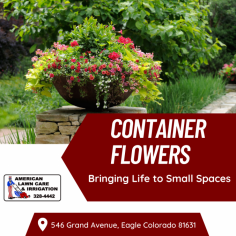 Creating Perfect Container Gardening Design

Are you looking for an easy way to add beauty and charm to your home or business? We will work with you to select the perfect flowers and containers to complement your space. For more information contact us - 970-390-6403.