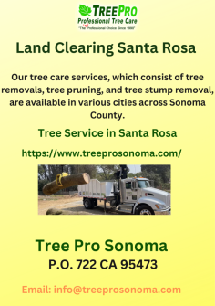 Santa Rosa Tree Removal best Tree Services Tree Care, Fire Clearance. Contact us now for fast Tree Removal service.
https://www.treeprosonoma.com/