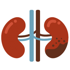 Best Nephrologist In Jaipur | Drravikumarnephrologist.com

Drravikumarnephrologist.com is the best nephrologist in Jaipur, providing quality care for patients with kidney diseases. Dr. Ravi Kumar helps patients with illnesses such as kidney disease, tumors, and other abnormal growths in the kidneys. Check out our site for more details.

https://drravikumarnephrologist.com/