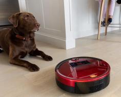 If you have pets, kids, or just time is always tight to fit in a quick vacuum then look no further as the bObSweep Pet Hair Slam maybe just be the right Smart Robotic vacuum you have been looking for but is it worth the large price tag? For more details you can check web page: https://www.youtube.com/watch?v=JP6MvD7KtdQ
