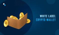 Develop a secure and customizable white label cryptocurrency wallet with Antier. The company has experts that will help you build a wallet with advanced security features, multi-currency support, and intuitive UI/UX. Your customers can easily manage their assets and transactions through the most reliable and resilient platform.
