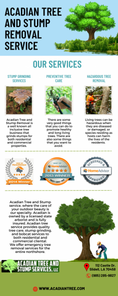 Tree Removal Madisonville | Acadian Tree and Stump Removal Service 

Cutting, trimming, or removing a tree is very difficult. You must hire professionals if you are not fully equipped with the right equipment. Many, just like you, would want to know how to remove a tree because you will be able to save a lot, but it will be hazardous because tree removal is done by those who are fully and adequately trained, like the Tree Removal Madisonville. For more information, contact us at (985) 285-9827.  

Visit Website - https://acadiantree.com/tree-removal-madisonville/
