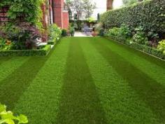 Want to bring natural greenery to your lawn? Buy 15mm Artificial Grass!

Artificial Grass is a must if you want to create a space that’s comfortable and green. Consider laying artificial grass if you want a beautiful, lush-green garden but don't have the time or patience to maintain one. If you want 15mm Artificial Grass, check out Artificial Grass Wholesale, they have the most high-quality and affordable products that’ll surely fit your requirements.