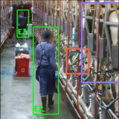 Our software taps into a dairy’s existing security camera, capturing video from a milking shift and uploading it for processing on the company’s secure servers. The company’s video analytics algorithms can spot deviations from what a producer would expect to see in a milking parlor operating at 100 percent efficiency. For example, the company’s service can spot when a milker manually removes a milking unit too soon, doesn’t post-dip a cow, or is on their phone during a milking shift. These deviations are captured as short video clips and made available for producers to view and share in their online dashboards.