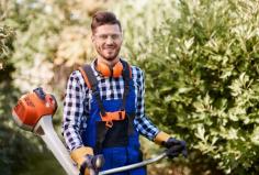 It cannot be easy to stand out from the crowd regarding tree service businesses. With so many companies offering the same services, finding ways to differentiate yourself is important. This means creating creative ideas for business cards, flyers, and other marketing materials.
For more info, click the link below:
https://globalinfomist.com/15-tree-service-business-card-ideas-that-will-impress-your-clients/