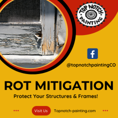 Get Rot Mitigation and Restoration Services

Rot mitigation can be very damaging to your home and will only get worse if left untreated. Our experts get rid of problems and provide solutions that will prevent them from happening in the future. Send us an email at info@topnotch-logworks.com for more details.