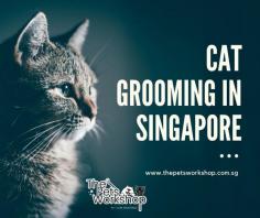 Cat Grooming Singapore offer a wide range of services to keep your feline friends looking and feeling their best. These services include basic grooming, such as baths and nail trimming, as well as more specialized services like lion cuts and dematting. Many groomers also offer additional services such as ear cleaning, teeth brushing, and flea treatments. Grooming not only keeps your cat looking good, but it can also prevent health problems by removing excess fur, which can cause matting and skin irritations. Regular grooming also allows groomers to check for any potential health issues and address them before they become serious. With the help of professional cat groomers in Singapore, your cat can enjoy a stress-free grooming experience and come out looking and feeling great. Furthermore, Cat Grooming Singapore services often provide a comfortable and safe environment for your cat during their grooming session. They are equipped with specialized tools and techniques to ensure that your cat’s coat is not only clean but also healthy and shiny. Additionally, groomers can advise you on the best grooming practices and products to use for your cat’s individual needs, such as the right shampoo or brush. With these services, you can ensure that your beloved feline friend is well taken care of and looking their best.

Website : https://www.thepetsworkshop.com.sg/