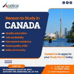 Aekay Immigration is one of the Trusted Canadian Immigration Consultants in Canada. We offer personalized solutions tailored to your unique needs. From visa applications to permanent residency, our comprehensive services ensure a smooth and hassle-free journey. Contact us today for assistance with your visa application.
