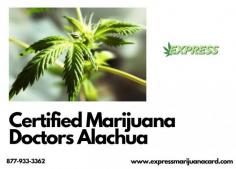 Express Marijuana helps to provide certified Marijuana cards in Alachua. And we have certified doctors to help the patients in their treatments and also give guidance to the patients. With proper guidance and training, patients understand the benefits of Cannabis in their treatment plans. Visit our website or call us at 877-933-3362.
