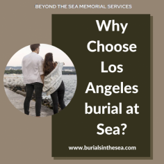 A burial at sea in Los Angeles is a special and heartfelt way to remember a loved one. An ocean farewell can be a peaceful and satisfying experience for those left behind because it offers a lovely and natural setting. In comparison to traditional funeral services, choosing a Los Angeles burial at sea may also be a more affordable option.