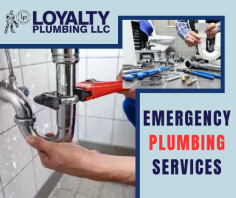 Get 24/7 Hour Emergency Plumbing Repair

Our technicians are fully trained and equipped to handle emergency plumbing issues. We will respond quickly to your request and resolve your plumbing problems. Send us an email at info@loyaltyplumbingllc.com for more details.
