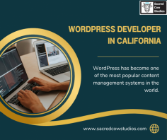 WordPress has become one of the most popular content management systems in the world. With its flexibility and ease of use, it’s no wonder that many businesses choose to build their websites using WordPress. However, as your website grows, you may start to notice performance issues that can slow down your site and negatively impact user experience. To know more about WordPress developer in California, visit our website.