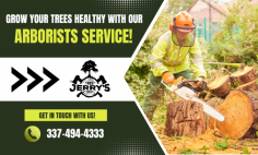 Get Expert Tree Care Professionals!

At Jerry’s Tree Service, our goal is to serve our customers with excellent care at a competitive price. Our expert arborists will diagnose any existing problems and recommend affordable, environmentally sensible tree solutions. We protect the value, health, and beauty of your landscape. Get in touch with us!