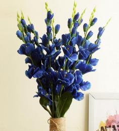Get Upto 30% OFF on Blue Polyester Cherry Blossom Artificial Flowers at Pepperfry

Save upto 30% OFF on Blue Polyester Cherry Blossom Artificial Flowers at Pepperfry.
Explore unique design of artificial flower online at best prices in India.
Order now at https://www.pepperfry.com/product/blue-polyester-cherry-blossom-artificial-flowers-1970676.html