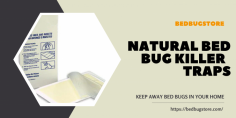Let us help you get the peaceful night's sleep you deserve! Natural Bed Bug Killer Traps provide a safe and effective solution to eliminating bed bugs without using harsh chemicals. Our long-lasting traps come in a pack of 8 and are easy to use. So, don't wait any longer - get rid of bed bugs once and for all with our Natural Bed Bug Killer Traps!