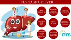 Discover the vital role of the liver in maintaining overall well-being. Explore the key tasks performed by this remarkable organ, including detoxification, metabolism, and bile production. Understand the significance of liver health and learn how to support its optimal functioning for a healthier life.

https://www.livertransplantinternational.com/artificial-liver-support-systems/