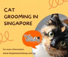 Hairball prevention: Cat grooming Singapore themselves by licking their fur, and this can lead to the ingestion of loose hairs. Regular cat grooming Singapore helps remove excess hair and reduces the likelihood of hairballs forming in their digestive tract.

Mat prevention: Cat grooming Singapore with long or dense fur are prone to developing mats or tangles, especially in hard-to-reach areas like the belly or behind the ears. Regular grooming helps to prevent these mats from forming, which can be uncomfortable and even painful for the cat.

Skin and coat health: Cat grooming Singapore helps distribute natural oils throughout the cat’s fur, keeping it clean, healthy, and shiny. It also allows you to check for any skin abnormalities, such as cuts, bumps, or parasites, which may require veterinary attention.

Bonding and socialization: Cat grooming Singapore sessions provide an opportunity for you to spend quality time with your cat, strengthening the bond between you. It also helps your cat become accustomed to being handled, making veterinary visits and other necessary procedures easier in the future.

Monitoring overall health: Regular cat grooming Singapore allows you to observe changes in your cat’s body condition, such as weight loss, signs of illness, or abnormalities that may require veterinary attention. Detecting health issues early can improve outcomes and ensure timely treatment.

It’s important to note that cat grooming Singapore doesn’t necessarily mean giving your cat a bath. Most cats are fastidious groomers and can keep themselves clean. However, regular brushing, especially for long-haired breeds, is typically recommended to prevent matting and hairball formation. If you’re unsure about grooming techniques or have specific concerns about your cat’s grooming needs, consult a professional groomer or your veterinarian for guidance.

Website : http://www.thepetsworkshop.com.sg