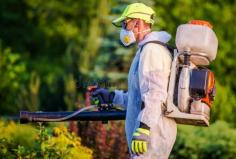 Are you looking for Pest control in Johannesburg, Eco-Fumigation team of experts offer high quality pest control services at very controlled price.