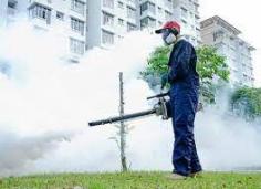 Are you looking for Pest control & Fumigation services in Midrand. JT Solution provide high quality pest control & fumigation services at very controlled price.