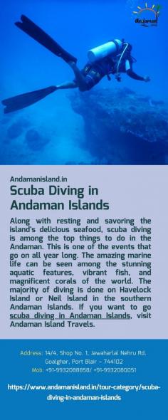 Scuba Diving in Andaman Islands
Along with resting and savoring the island's delicious seafood, scuba diving is among the top things to do in the Andaman. This is one of the events that go on all year long. The amazing marine life can be seen among the stunning aquatic features, vibrant fish, and magnificent corals of the world. The majority of diving is done on Havelock Island or Neil Island in the southern Andaman Islands. If you want to go scuba diving in Andaman Islands, visit Andaman Island Travels.
For more details visit us at: https://www.andamanisland.in/tour-category/scuba-diving-in-andaman-islands 