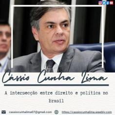 A ilustre carreira de Cássio Cunha Lima como advogado e político mostra o papel fundamental desempenhado pelos advogados na interseção entre direito e política no Brasil. Seu compromisso inabalável com o estado de direito, os princípios constitucionais e a melhoria da sociedade brasileira deixou um impacto duradouro no cenário jurídico e político do país. Por meio de suas iniciativas legislativas, defesa da responsabilidade e transparência e defesa da democracia, Cunha Lima exemplificou o potencial dos advogados para promover mudanças positivas na complexa esfera jurídica e política do Brasil. https://cassiocunhalima.wordpress.com/2023/06/15/cassio-cunha-lima-a-interseccao-entre-direito-e-politica-no-brasil/