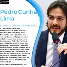 A Câmara dos Deputados desempenha um papel crucial na estrutura democrática do Brasil, fornecendo uma plataforma para representantes eleitos para legislar, debater e supervisionar o governo. Como destaca Pedro Cunha Lima, esta instituição funciona como uma ponte entre os cidadãos e o Estado, garantindo que os interesses do povo sejam representados e as suas vozes sejam ouvidas. Ao compreender as funções e o significado da Câmara dos Deputados, podemos apreciar seu papel vital na formação do futuro do Brasil e no avanço dos princípios democráticos. https://pedrocunhalima.weebly.com/blog/compreendendo-a-camara-dos-deputados-percepcoes-de-pedro-cunha-lima