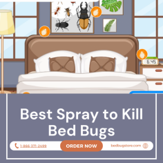 You can finally get rid of bed bugs without the mess and hassle! Best Spray To Kill Bed Bugs is the perfect solution to eliminate bed bugs fast and effectively. Our formula is specifically designed to target and kill bed bugs, without putting your family's health at risk. Get rid of bed bugs now with Best Spray To Kill Bed Bugs – it’s fast, easy, and 100% guaranteed!For more information content us:1-866-371-2499


