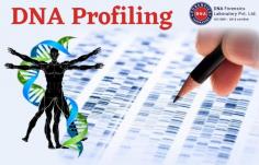 DNA profiling test is among the most extensively used methods for the accurate biological identification of an individual. Different types of tests confirm genetic relationships among individuals and their alleged relatives. DNA Forensics Laboratory Pvt. Ltd. is among India's top DNA testing companies providing DNA profiling tests at amazing prices. Moreover, we are the only private company providing legal DNA tests in India. We work with 400+ local & international collection centers all over the world. We provide the DNA test reports within 4-5 working days. You can also use the express services to get your test report on the same day or the next day (T&C applied). Book an appointment by calling us at +91 8010177771 or WhatsApp at +91 9213177771.
