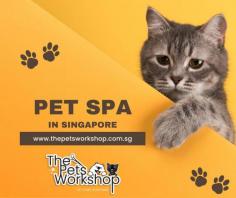 Pet spa Singapore offer numerous benefits for both pets and their owners. These specialized establishments provide a range of services designed to enhance the well-being of our furry companions.

One key advantage of pet spas is the opportunity for pets to receive professional grooming services. Trained groomers can expertly trim their fur, clean their ears, trim their nails, and ensure overall hygiene. This not only keeps pets looking their best but also promotes their health by preventing matting, infections, and other related issues.

Moreover, pet spas often offer soothing and therapeutic treatments such as hydrotherapy and massages. These treatments can alleviate muscle tension, improve circulation, and aid in the recovery from injuries or surgeries. They can be particularly beneficial for senior pets or those with certain medical conditions.

Additionally, pet spas provide a safe and controlled environment for pets to socialize with other animals. This can help them develop social skills and reduce anxiety or behavioral issues. Furthermore, the attentive staff at pet spas closely monitor pets for any signs of distress or health concerns, ensuring their well-being throughout their visit.

Lastly, pet spas can be a boon for busy pet owners. They offer convenience by providing comprehensive services under one roof, saving time and effort. Pet owners can leave their furry friends in the care of professionals, knowing that they will receive top-notch treatment and care.

In conclusion, pet spa Singapore offer a multitude of benefits. From grooming and therapeutic treatments to socialization opportunities and convenience for owners, these establishments play a vital role in promoting the overall health and happiness of our beloved pets.

Website : https://www.thepetsworkshop.com.sg/