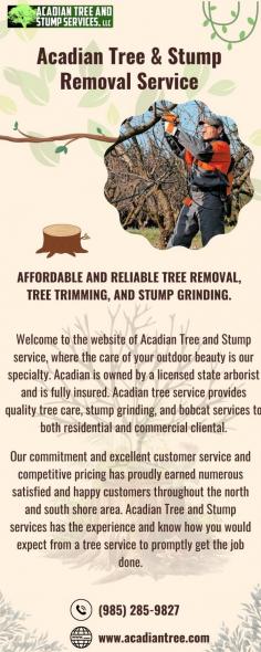 Our professional tree removal services offer safe and efficient solutions for removing unwanted or hazardous trees from your property. Our team of experienced arborists uses specialized equipment and techniques to ensure the removal process is carried out smoothly and without damage to surrounding structures or landscapes. Whether you need a single tree removed or an entire grove cleared, we have the expertise to get the job done. Call us at (985) 285-9827 for additional information about Pass Christian Tree Removal.

Website: https://acadiantree.com/tree-removal-pass-christian/