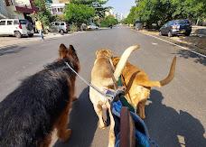 Are You Looking for Dog Walking Service in Kolkata? Our experienced team of dog walkers is dedicated to keeping your furry friend active, happy, and well-socialized. Book your dog Walkers online today and be worry-free; Contact us now.
