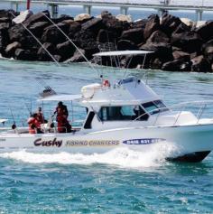 Looking for a memorable fishing experience? Look no further! Cushy Fishing Charter offers top-notch boat rentals for an unforgettable fishing adventure. Book now and reel in the big ones!
