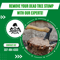 Get Complete Stump Elimination Services Today!

At Jerry’s Tree Service, We can remove your tree stump when we cut down your tree or you can call us at a later date for stump removal. With our top-tier machines, we can remove any stump from anywhere on your property. Get in touch with us!
