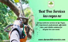 Get top-notch tree services in Las Vegas, NV. Experienced  professionals, affordable rates, and reliable solutions for all your tree care needs.

Visit Now: https://www.duranchitreeservice.com/